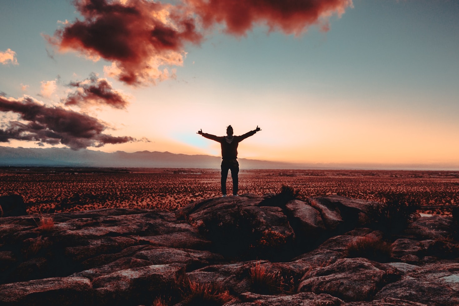 La importancia del apoyo emocional en el éxito personal